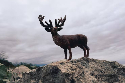 Сделай меня сильным