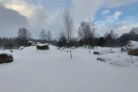 Служите Господу с веселием!